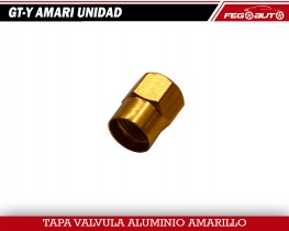 GT-Y AMARI UNIDAD